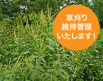 土地の維持管理